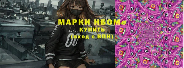 твердый Алексин