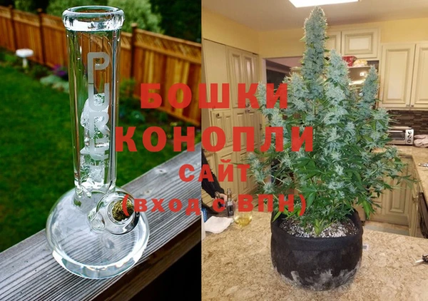 дурь Ахтубинск