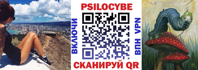 дарнет шоп Вышний Волочёк Псилоцибиновые грибы мицелий