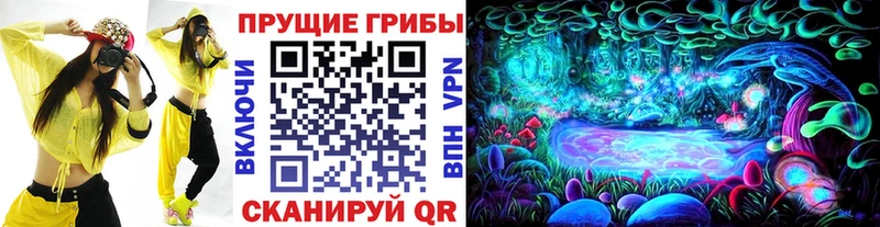Псилоцибиновые грибы мицелий Вышний Волочёк